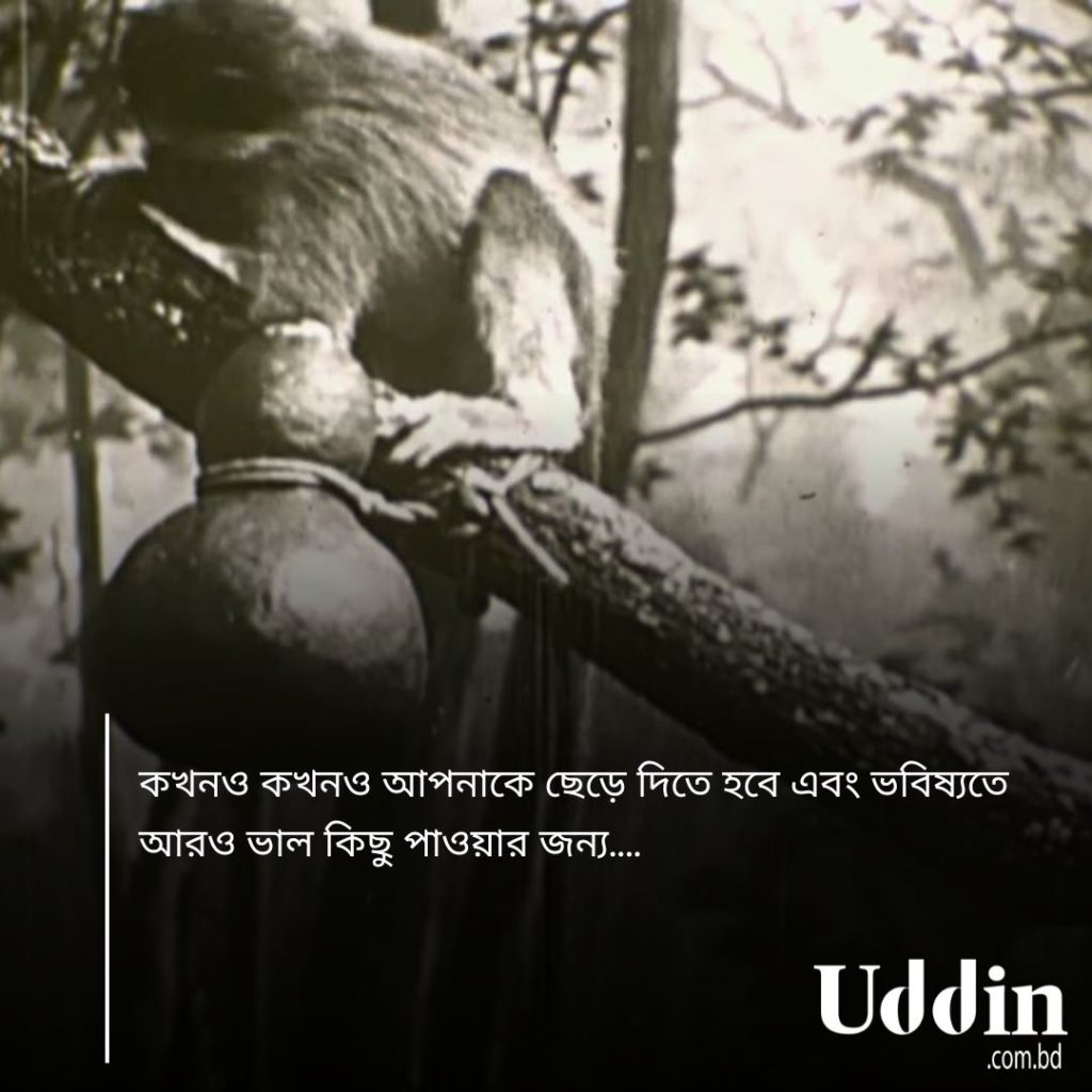 সফলতার শিক্ষনীয় গল্প
