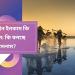 অনলাইন ইনকাম কি হালাল